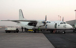 LZ-SFH