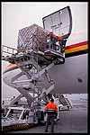 Das Air Cargo Beladung